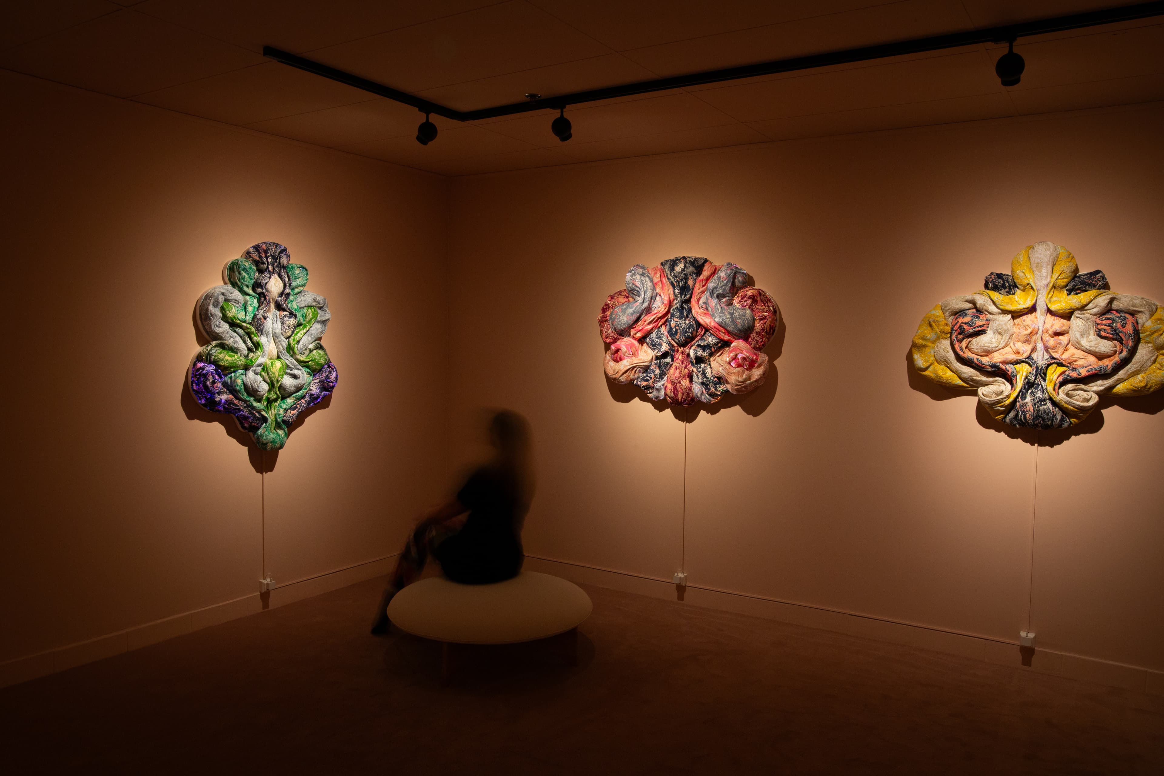 Gallery media #4